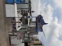 Clearwater Beach (56)