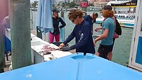Clearwater Beach - Vis fileren