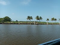 Everglades boottocht (11)