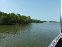 Everglades boottocht (12)