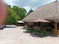 Natural Chai Farm & Garden (3)
