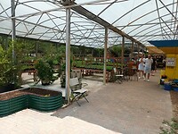 Natural Chai Farm & Garden (4)