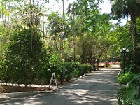 Flamingo Garden (1)