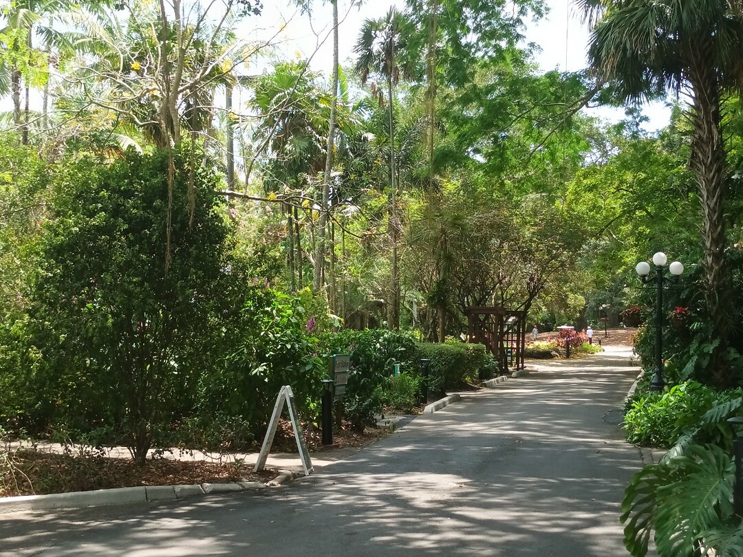 Flamingo Garden (1)