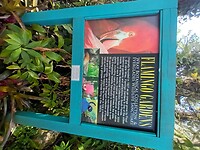 Flamingo Garden (2)