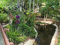 Flamingo Garden (3)