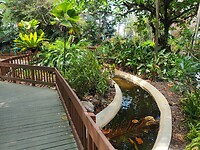 Flamingo Garden (4)