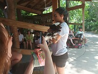 Flamingo Garden (8)