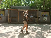 Flamingo Garden (12)