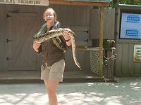Flamingo Garden (13)