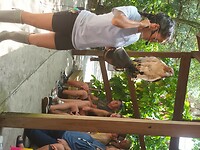 Flamingo Garden (18)