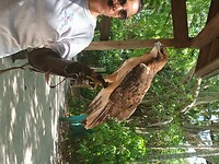 Flamingo Garden (19)