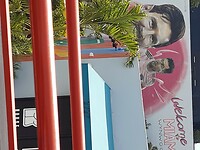 Miami - Wynwood District (12)