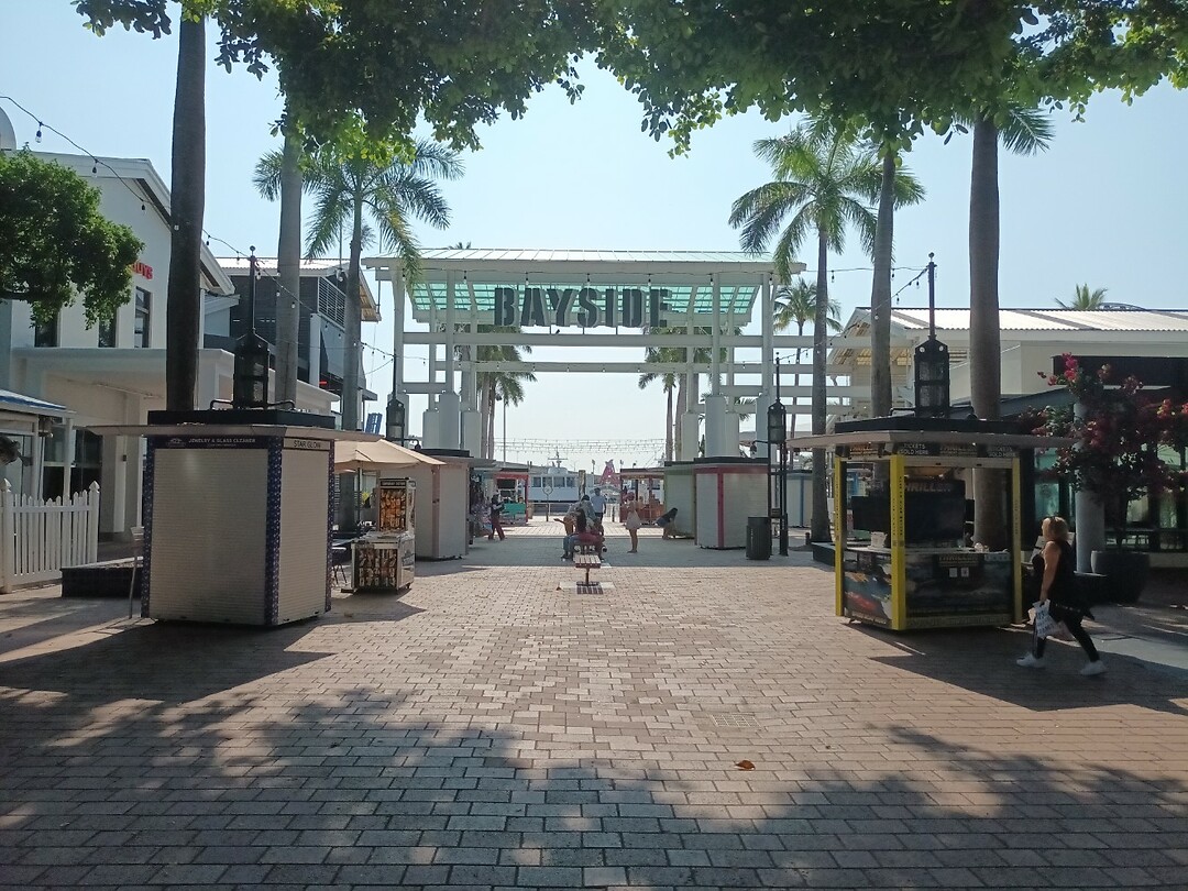 Miami (3)