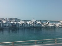 Miami (22)