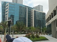 Miami (53)