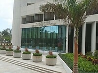 Miami (54)