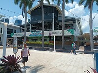 Miami (74)