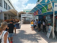 Miami (77)