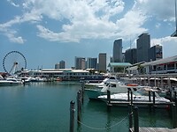 Miami (79)