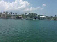 Miami (83)