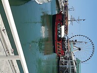 Miami (89)