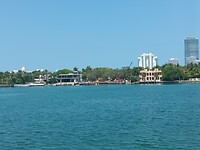 Miami (92)
