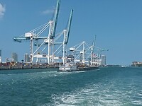 Miami (99)