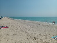 Miami Beach (8)