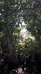 20190306_132436