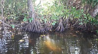 20190306_132317