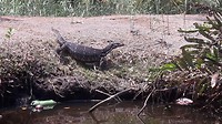 20190306_123234
