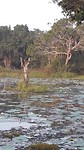 20190308_065303