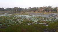 20190308_065154