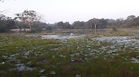 20190308_065130