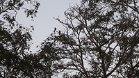 20190308_063027