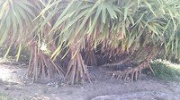 20190310_145745