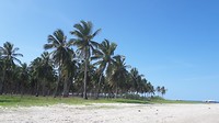 20190310_145037