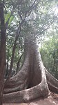 20190313_121343