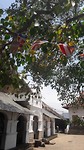 20190315_124005