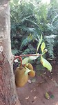 20190315_155618