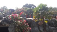 20190315_134358