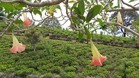 20190317_122400