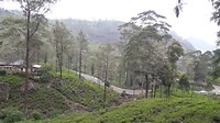 20190317_130757