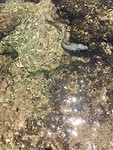 IMG-20190324-WA0012