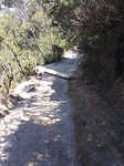 Hiken door de Blue Mountains