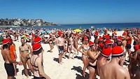 Crazy Dutchies @Bondi