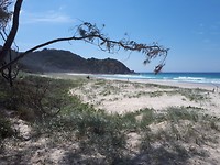 20190320_121153
