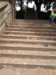 20190326_130748