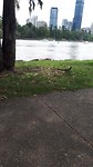 20190326_124732